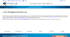 Desktop Screenshot of koelis.com